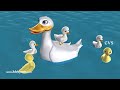 Five Little Ducks Went Out One Day 3D Animation Five Little Ducks Nursery Rhyme For Children