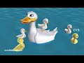 Five Little Ducks Went Out One Day - 3D Animation ...