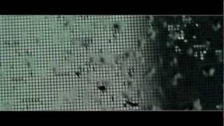 Nine Inch Nails - Ruiner (Video HD)