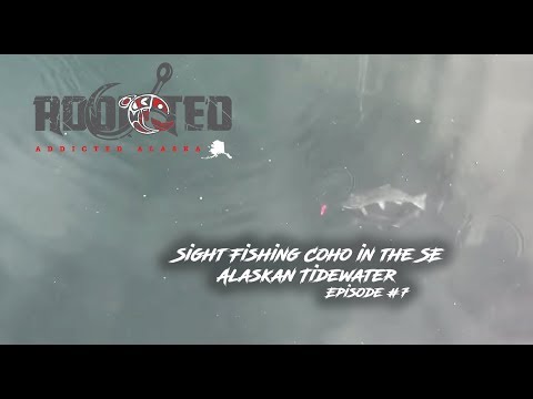 Alaska Salmon Fishing | Sight Fishing Coho in the SE Alaskan Tidewater | Addicted Alaska Ep. #7