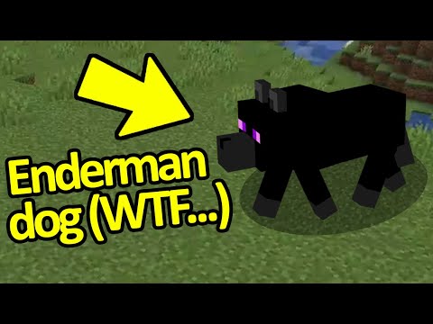 Mind-Blowing Minecraft WTF Moments