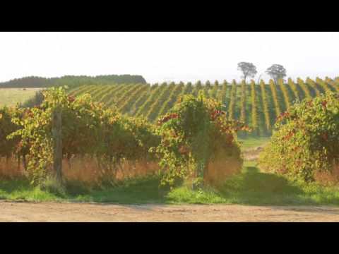 Fowles Wine: Strathbogie Ranges - Seriously Cool Climate Australian Wine