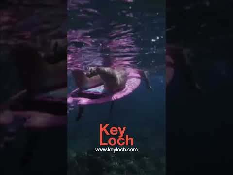 Key Loch - Slop with Choppers | Pop #promo 2 #shorts