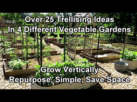 Over 25 Vegetable Garden Trellising Designs: Crop Examples, Materials, Vertical Growing Ideas