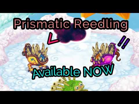 Prismatic Reedling is now available on Cloud Island.  (Dawn of Fire)