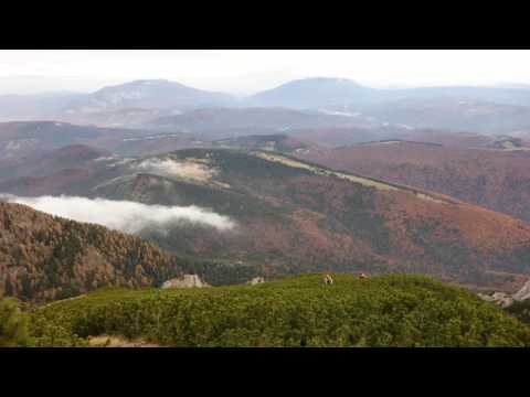 2016-10-29  - Brâna mare a Morarului (tentativă Colții Morarului)