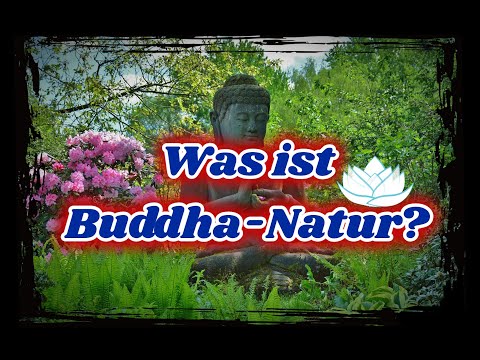Was ist Buddha-Natur?☸️