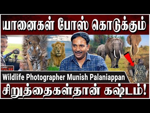 காட்டு விலங்குகளுக்கு பிடிக்காத நிறம் இதுதான் - Wildlife Photographer Munish Palaniappan