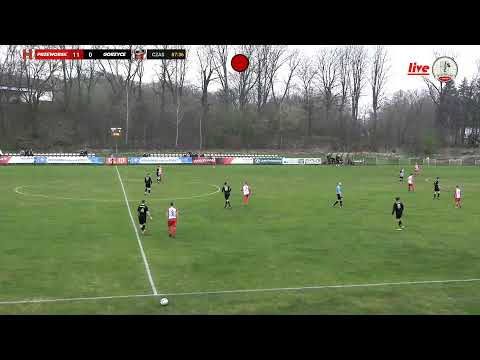 MKS Orzeł Przeworsk - LKS SAN GORZYCE 23.03.2024