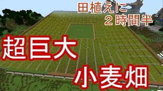 #05 ～超巨大小麦畑(田植えに２時間半)～　マイクラ実況