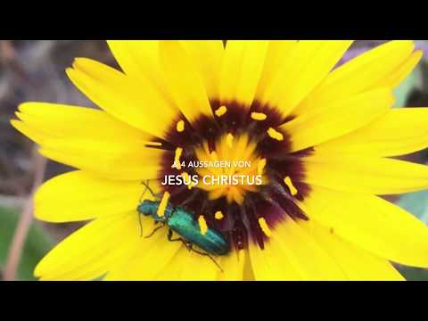 Bilder von den Alpujarras & 4 Aussagen von Jesus Christus