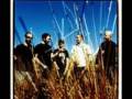 Mogwai- Danphe and the brain