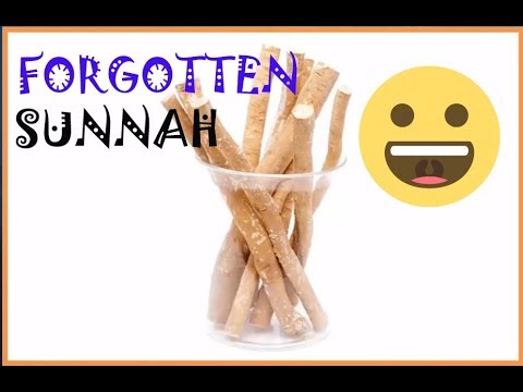 Miswak | Islamic Kids|Little Muslimah