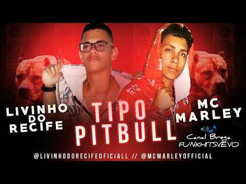 MC MARLEY E MC LIVINHO DO RECIFE - TIPO PITBULL - MÚSICA NOVA