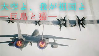 【ゆっくりエースコンバット7実況】大空よ、我が祖国よ #3 巨鳥と猫