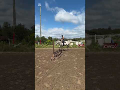 Concorde 76 video 1
