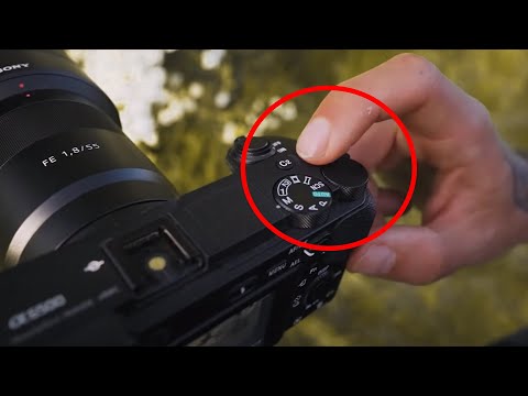 Warum manuell fokussieren? | Einfach FOTOGRAFIEREN lernen 📷Lektion 22