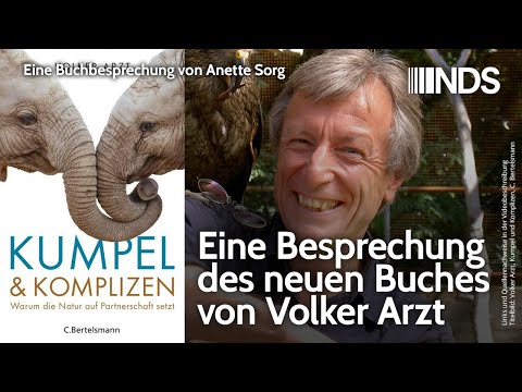 Video-Thumbnail von YouTube