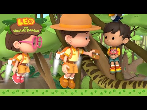 Witness21  2023 09 01