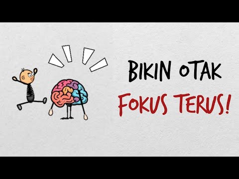 Mengapa 6 Kebiasaan Kecil Ini Bisa Membuat Otak Lebih Cerdas? | 4 Menit yang Berharga
