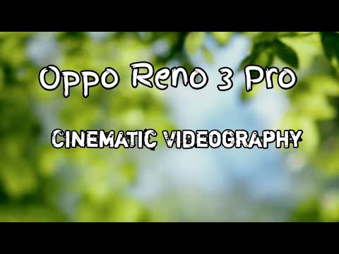 Тестирование камеры OPPO Reno 3 Pro