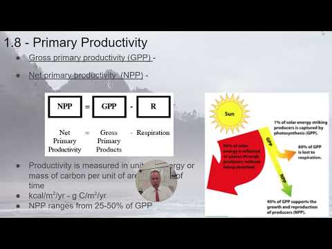 APES - 1.8 Primary Productivity