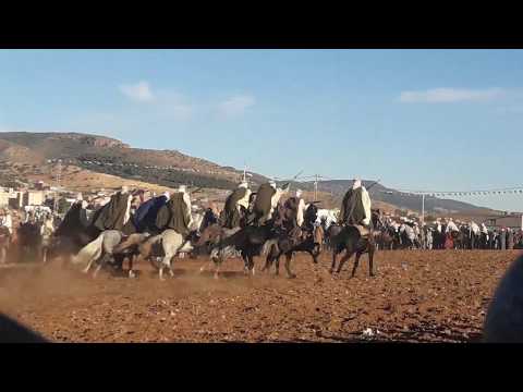 خيالة اليوم في وعدة سيدي بوبكر ولاية سعيدة جديد 2017