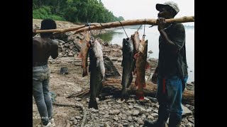 Catfishing at the Cornelius Honey Hole | Mississippi River!!