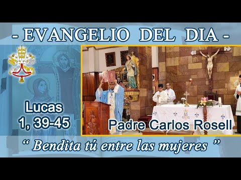Evangelio 21/12/24 - Lucas 1, 39-45 - La Visitación. P. Carlos Rosell.
