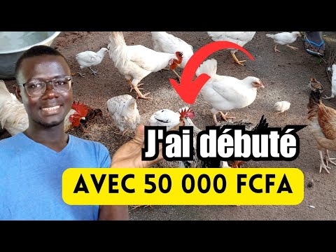 , title : 'Comment débuter l'élevage des Poules Locales avec 50 000 FCFA ?'