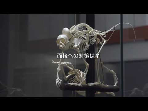 麻布大学受験日記動画Vol.2