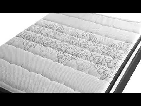 Sealy Brand Video