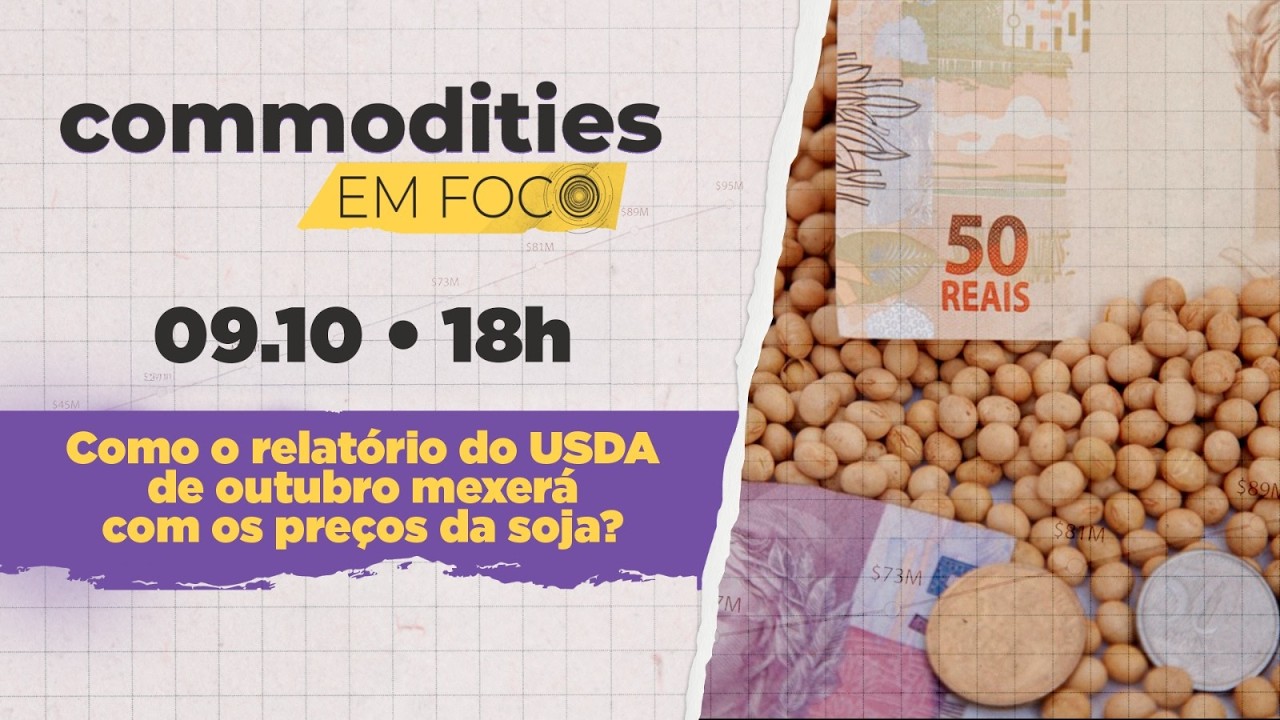 Soja: como o relatório do USDA de outubro mexe com os preços?