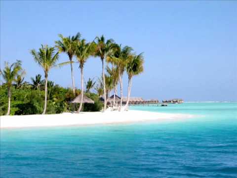 Dimitri Andreas - Digital Jungle