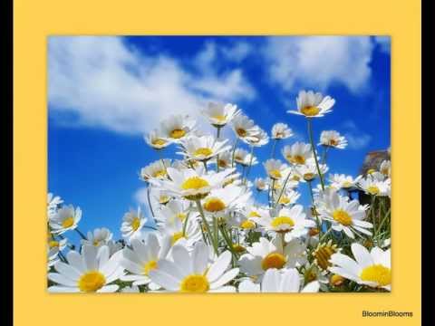 Video thumbnail for You Are My Miracle