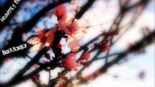 Heavenly Beautiful - Bei Maejor