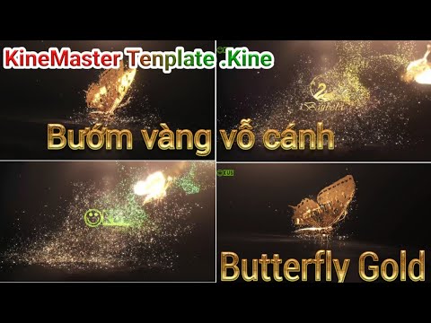Intro buterfly gold