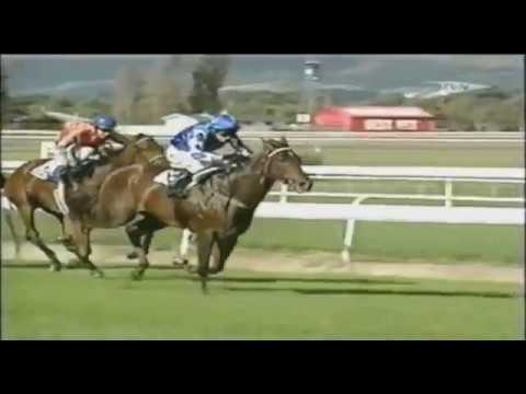 2007 NZ Manawatu Sires Produce Stakes