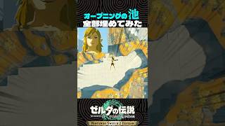 OPでいきなり詰んでしまうリンクさん【ゼルダの伝説 ティアキン】