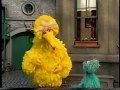 Sesame Street Big Bird Helps Carlo Gina