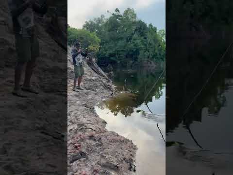 Isso é Amazônia!  #amazonia #amazonas #interiordoamazonas #uarini #vidanaamazonia #tucunare