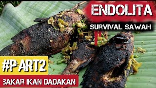 Download lagu 3AKAR IKAN HASIL MANCING LEZAT NYO PART2 mp3