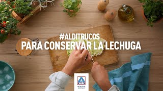 Aldi Cómo conservar la lechuga fresca en la nevera anuncio