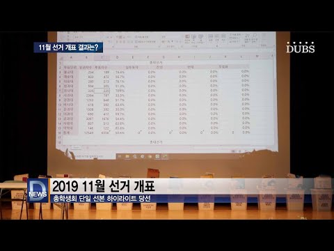2019년 11월 선거 개표 결과