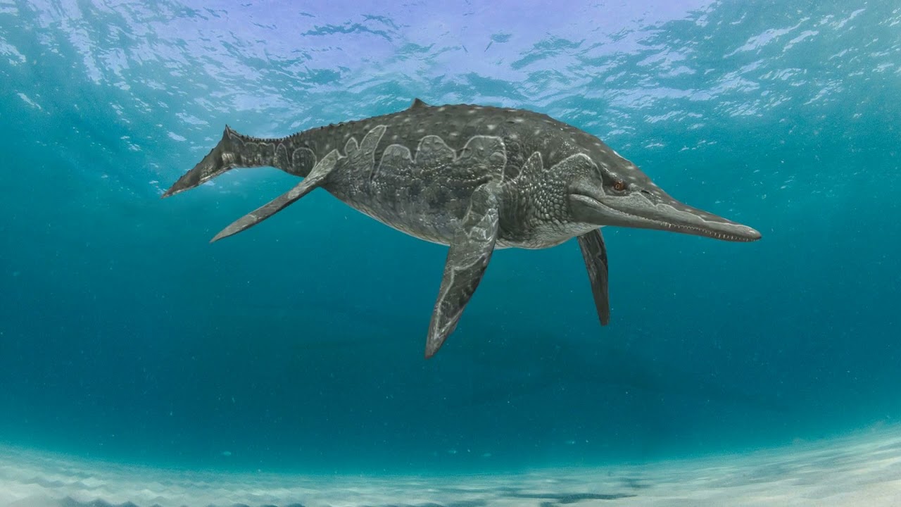 Ichthyotitan-severnesis - 8K animated ichthyosaurus 3D Model