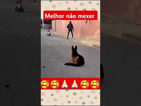 Herói sem capa 🥰🥰🙏🏻🙏🏻olhe curte comenta e compartilha 🥰🙏🏻