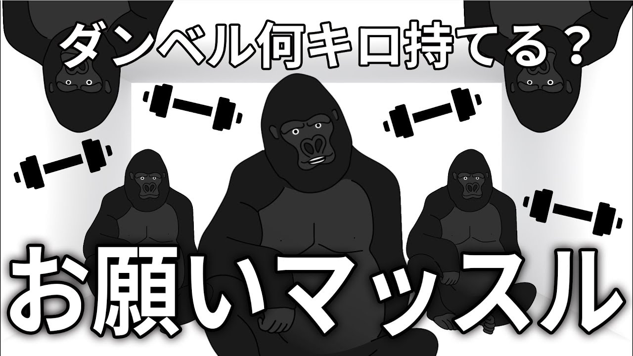 ゴリラオンステージ「お願いマッスル/ダンベル何キロ持てる？OPテーマ」