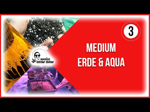 Marios Grow Show | Folge 3 - Medium, Erde & Aqua