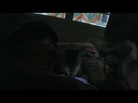 sleeping beauty@dolanaretumidolanandyou5519