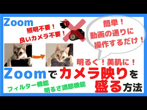 ズーム フィルター: Zoom のビデオ フィルターを設定してダウンロードします。